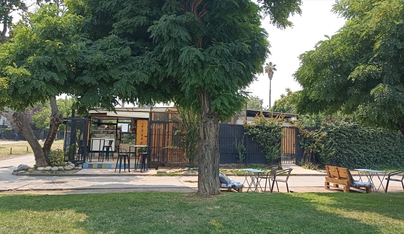 El café visto desde la plaza, entre los árboles